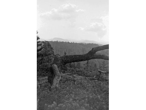 Foto 23
